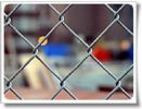 Chain Link Fence 